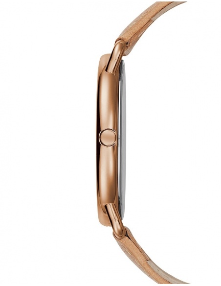 Ceas de dama Guess Ladies Dress GUW1068L5