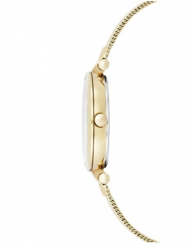 Ceas de dama Kenneth Cole Classic KC50511002