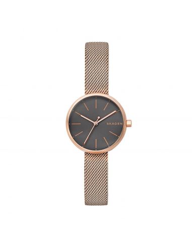 Ceas de dama Skagen Signatur SKW2645