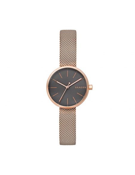 Ceas de dama Skagen Signatur SKW2645