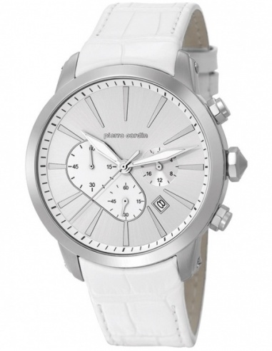 Ceas barbatesc Pierre Cardin Sport PC105431F11