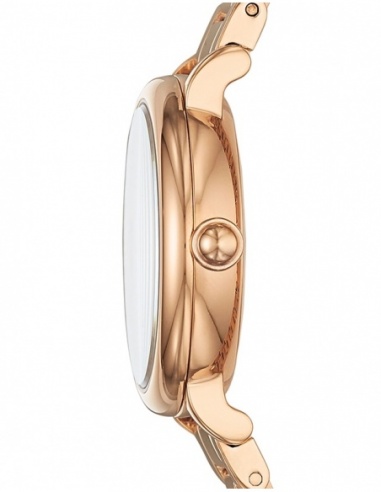 Ceas de dama Marc by Marc Jacobs Classic MJ3598