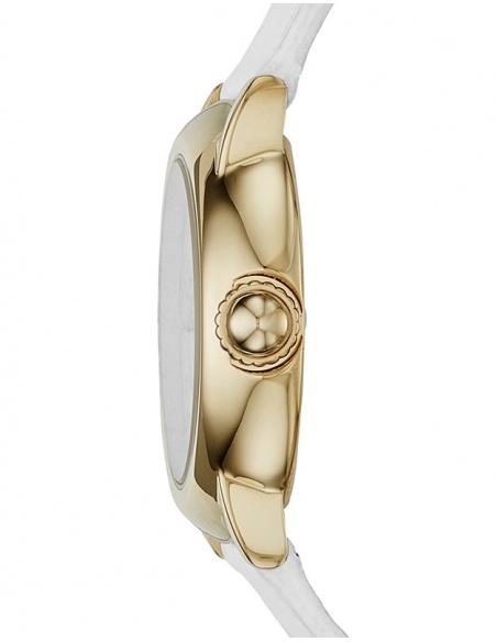 Ceas de dama Marc by Marc Jacobs Courtney MJ1449