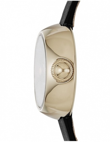 Ceas de dama Marc by Marc Jacobs Courtney MJ1432