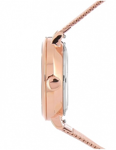 Ceas de dama Pierre Lannier Automatic 313B938