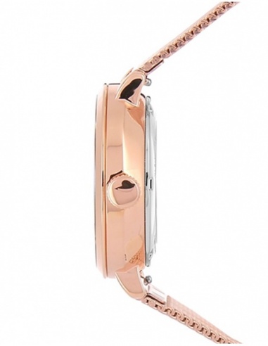 Ceas de dama Pierre Lannier Automatic 313B928