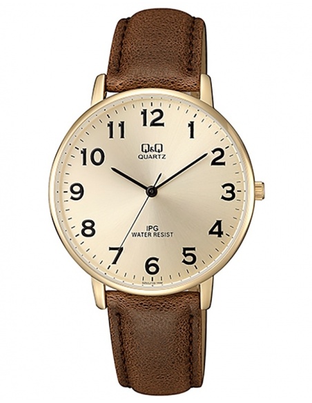 Ceas barbatesc Q&Q Standard QZ00J103Y