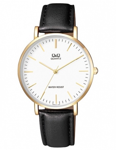 Ceas barbatesc Q&Q Standard Q978J111Y
