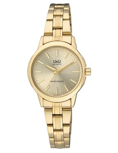 Ceas de dama Q&Q Standard Q861J010Y