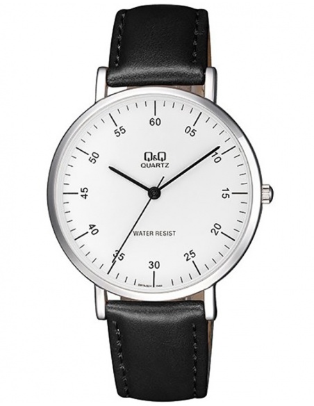 Ceas barbatesc Q&Q Standard Q978J324Y