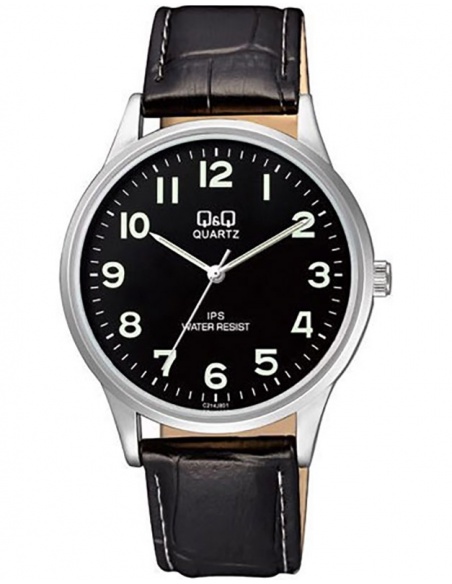 Ceas barbatesc Q&Q Standard C214J801Y