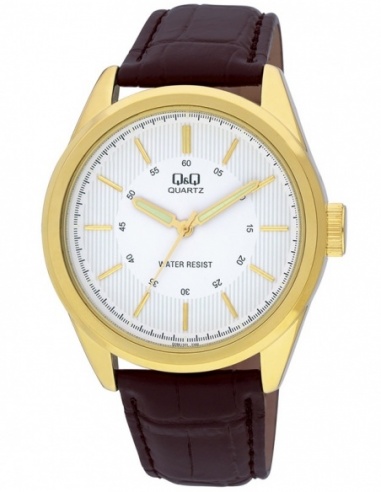 Ceas barbatesc Q&Q Standard Q266J101Y