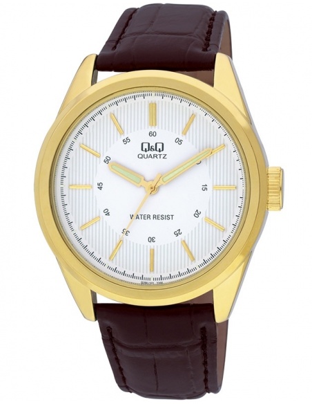 Ceas barbatesc Q&Q Standard Q266J101Y