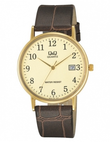 Ceas barbatesc Q&Q Standard BL02J103Y