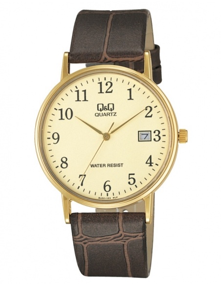 Ceas barbatesc Q&Q Standard BL02J103Y