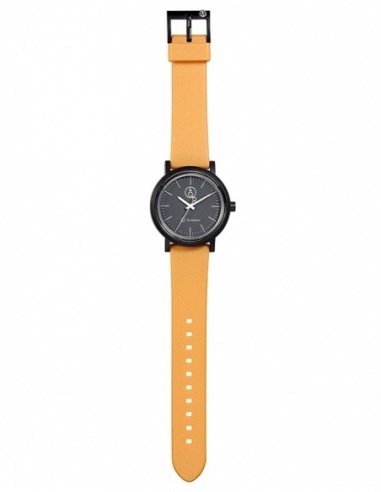 Ceas unisex Q&Q Series 003 RP12J002Y