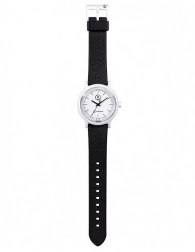 Ceas unisex Q&Q Series 003 RP12J001Y