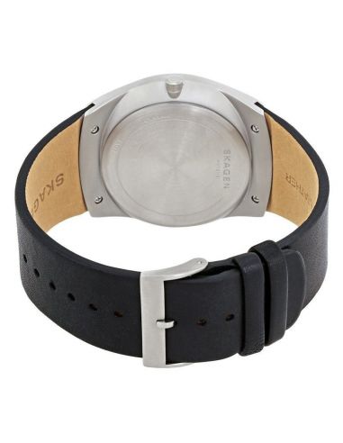 Ceas barbatesc Skagen Havene SKW6414