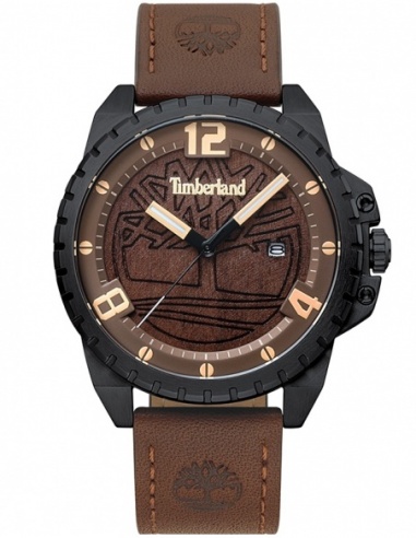 Ceas barbatesc Timberland Eastford TBL.15513JSB/12