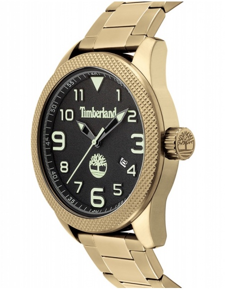 Ceas barbatesc Timberland Innovation TBL.15359JSK/02M