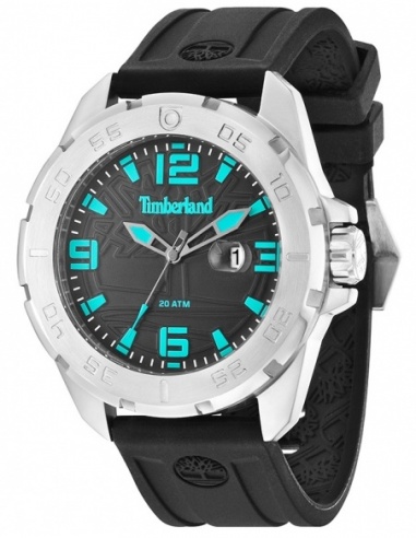 Ceas barbatesc Timberland Waterville TBL.14416JS/02P