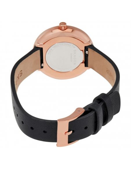 Ceas de dama Skagen Signature SKW2592