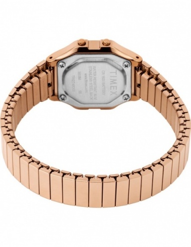 Ceas de dama Timex Active TW2T48100