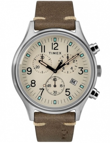 Ceas barbatesc Timex Casual TW2R96400