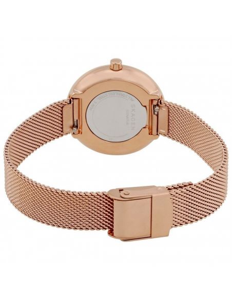 Ceas de dama Skagen Signature SKW2593
