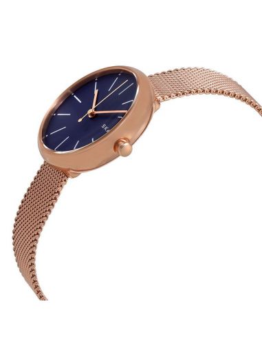 Ceas de dama Skagen Signature SKW2593