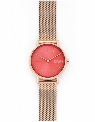 Ceas de dama Skagen Signatur SKW2868