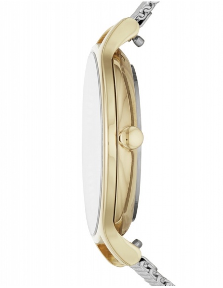 Ceas de dama Skagen Anita SKW2866