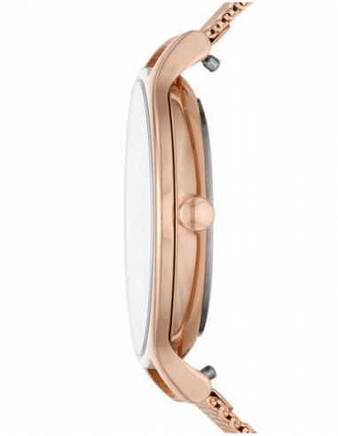 Ceas de dama Skagen Anita SKW2865