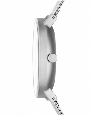 Ceas barbatesc Skagen Leonora SKW6584