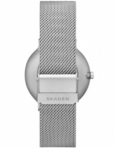 Ceas barbatesc Skagen Leonora SKW6584