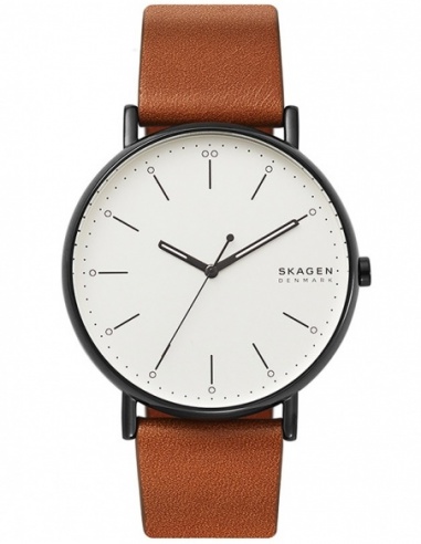 Ceas barbatesc Skagen Signatur SKW6550