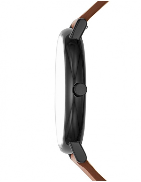 Ceas barbatesc Skagen Signatur SKW6550