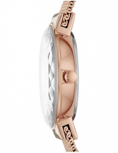 Ceas de dama Skagen Leonora SKW2799