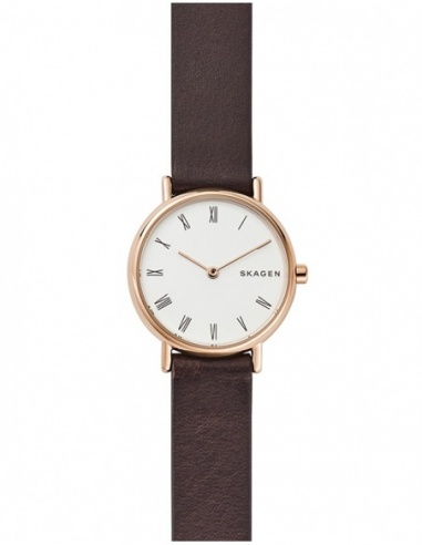 Ceas de dama Skagen Signatur SKW2760