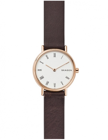 Ceas de dama Skagen Signatur SKW2760