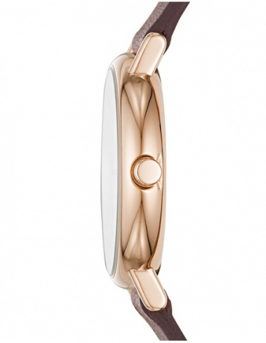 Ceas de dama Skagen Signatur SKW2760