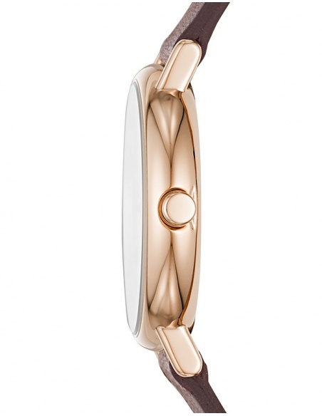 Ceas de dama Skagen Signatur SKW2760