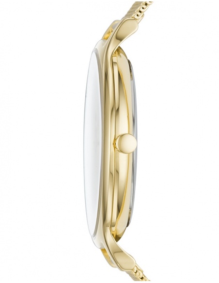 Ceas de dama Skagen Anita SKW2774