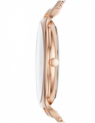 Ceas de dama Skagen Anita SKW2773