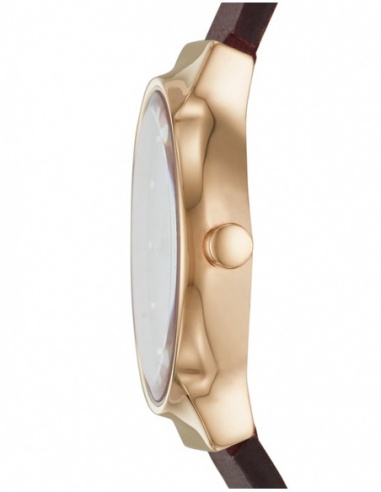 Ceas de dama Skagen Freja SKW2744