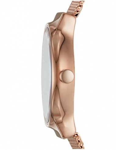Ceas de dama Skagen Freja SKW2740