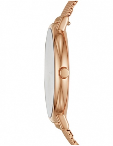 Ceas de dama Skagen Signatur SKW2732