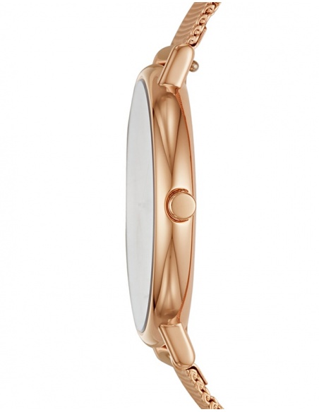 Ceas de dama Skagen Signatur SKW2732