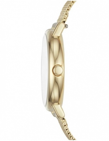 Ceas de dama Skagen Signatur SKW2693