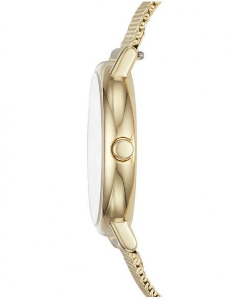 Ceas de dama Skagen Signatur SKW2693
